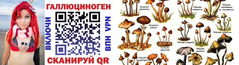 Купить закладки  Вичуга  Псилоцибиновые грибы мухоморы 